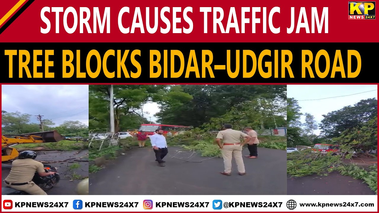 Bidar News | Massive Traffic Jam Due to Heavy Rain & Strong Winds Topple Tree on Bidar&ndash;Udgir Road