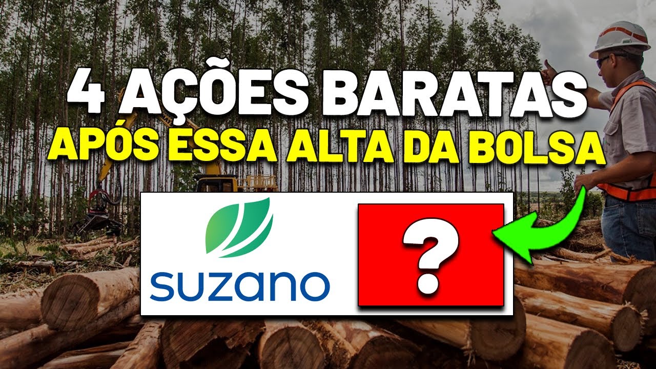 AINDA TEM COISA BARATA na BOLSA DE VALORES? 4 AÇÕES LUCRATIVAS EM PREÇOS INTERESSANTES - parte 2