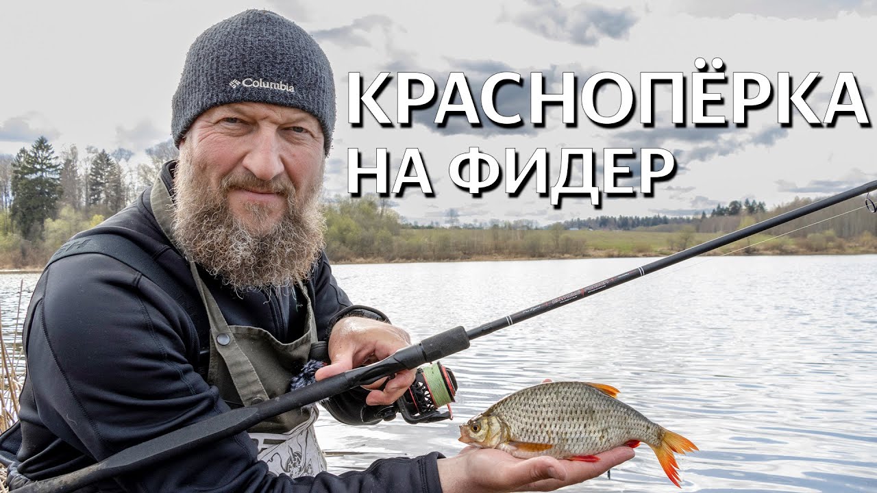 РАЗНОРЫБИЦА ВЕСНОЙ НА ФИДЕР. Поклёвки - отдай фидер!