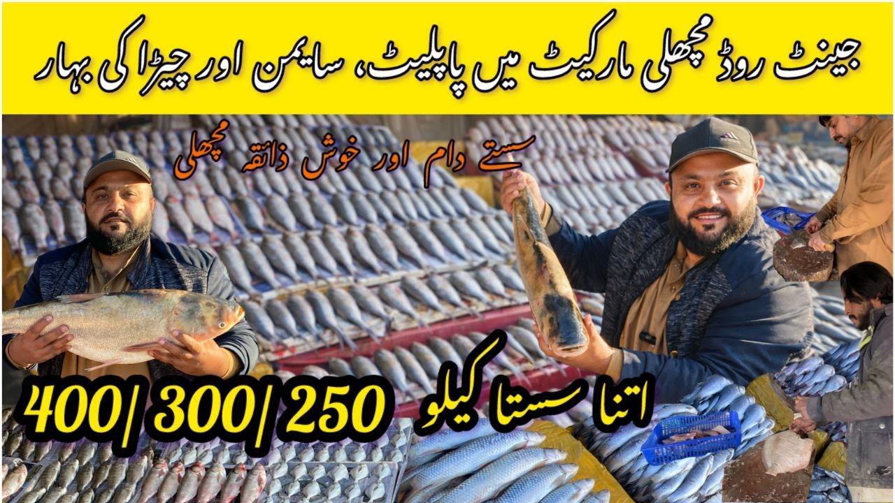 کوئٹہ کی خطرناک سردی میں مچھلی بازار | Jent Road Quetta Fish Wholesale Market