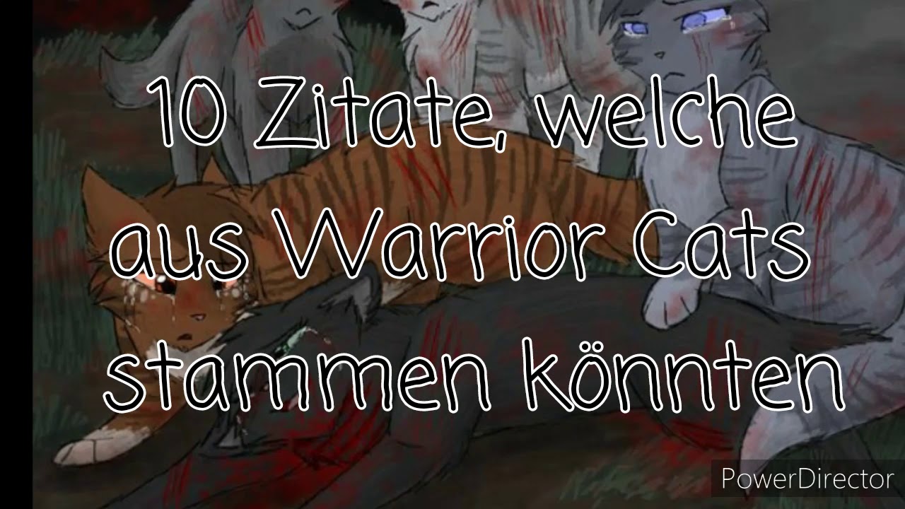 10 Zitate, welche aus Warrior Cats stammen könnten | Warrior Cats Feuerstern