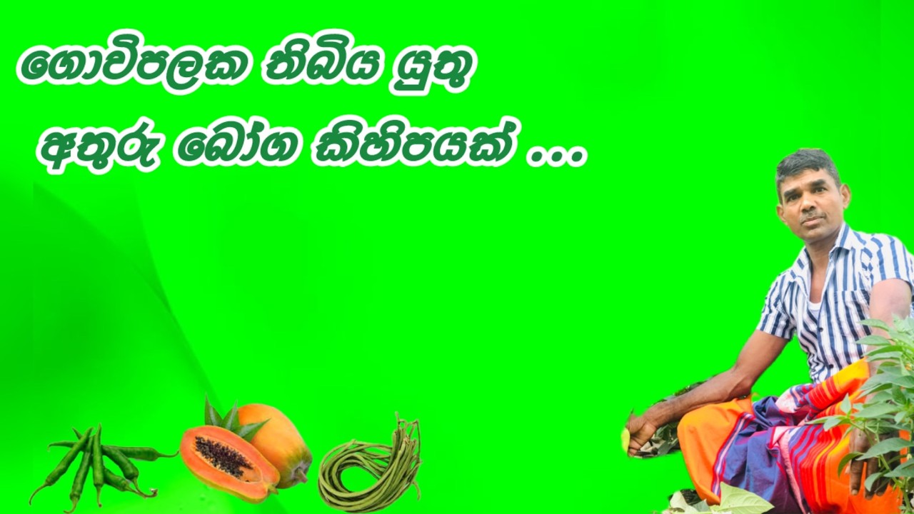 ගොවිපළක තිබිය යුතුම අතුරු බෝග#sinhala #sirilakgovibima