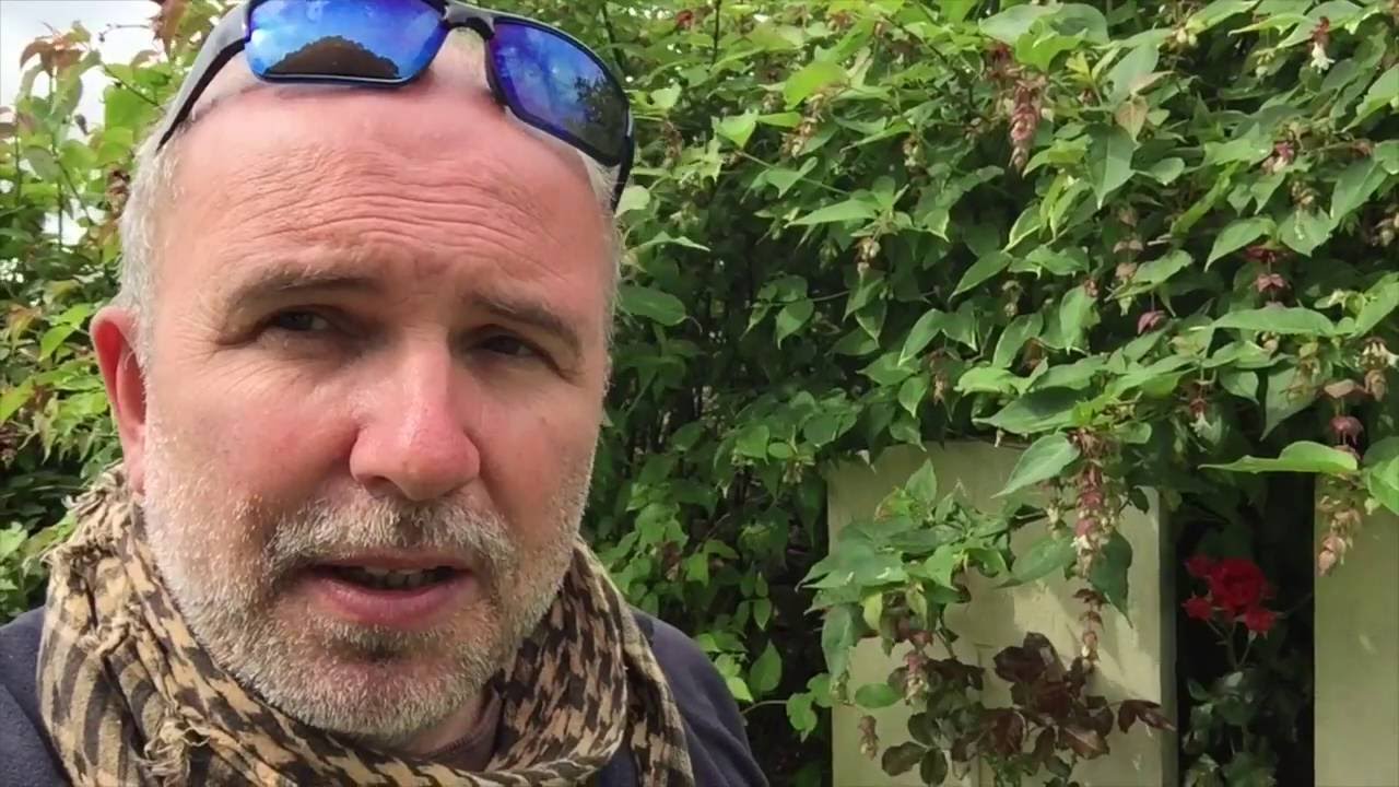 Somme100 with Paul Reed: Hawthorn Ridge No 1 Cemetery