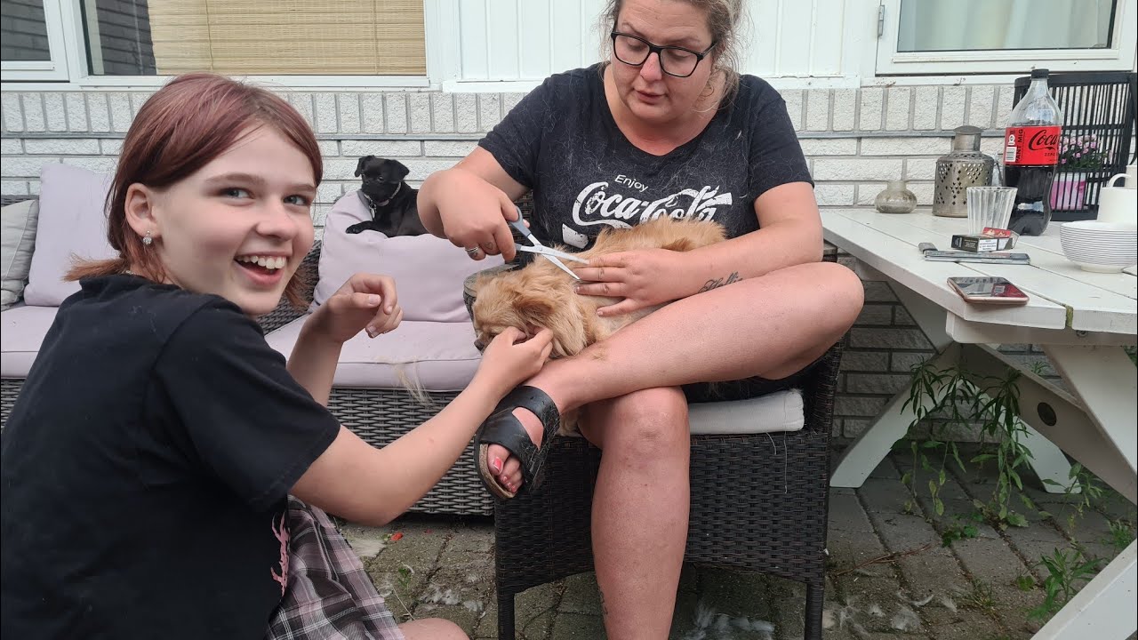 Klipper hundene🐕Fluffy nyder det, Karla bliver sur🐕✂️