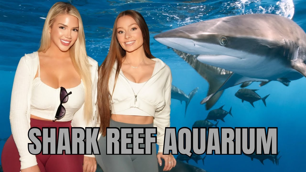 The Shark Reef Experience You Can’t Miss! 🌊