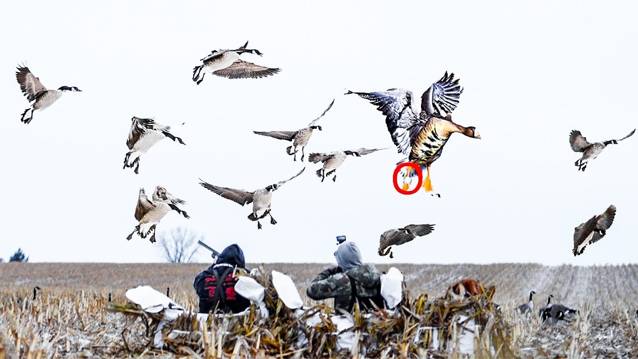2 MAN NORTH DAKOTA CORN FIELD BAND IN THE SNOW!