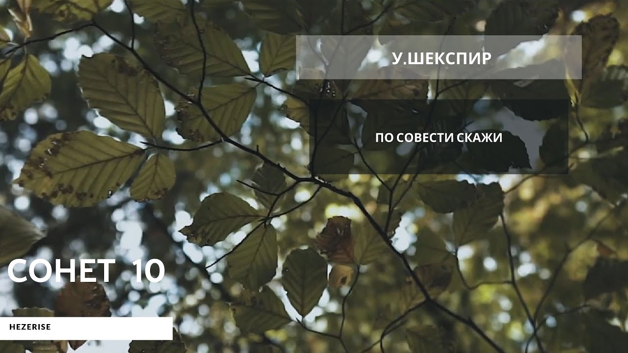 У.Шекспир &ndash; &laquo;По совести скажи&raquo; (Сонет 10)