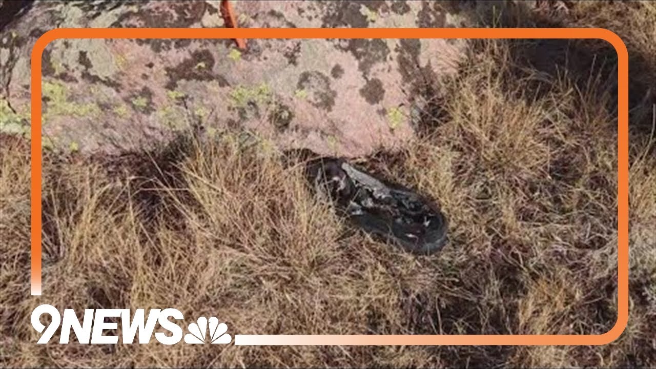 Possible belongings of woman missing since 2005 found