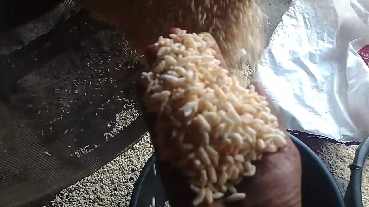 দেশি চালের মুড়ি  সাদা কত বড় বড় 