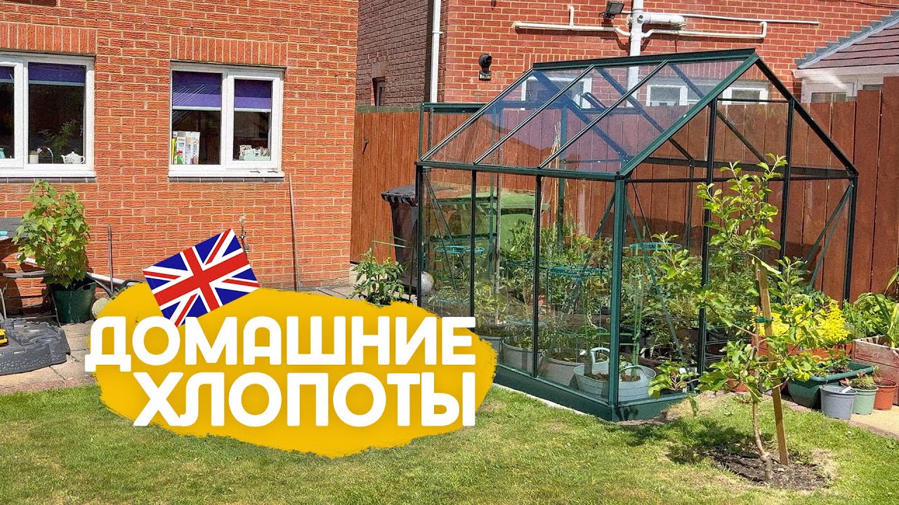 Сад-огород, школа и жара в Англии