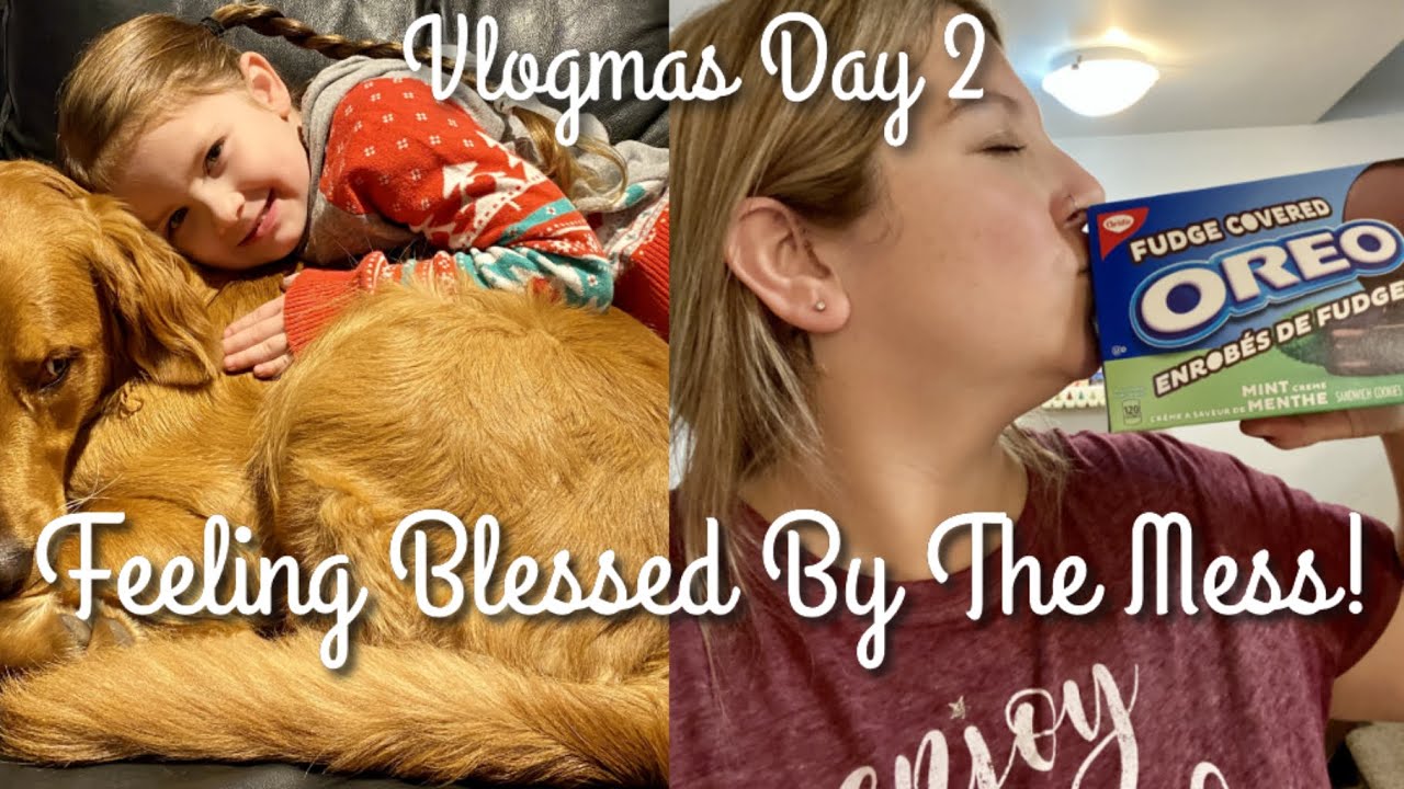 Walmart Haul! Mom Life & Being Productive! Vlogmas Day 2!