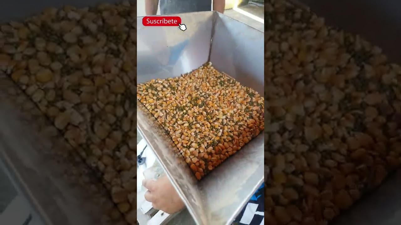 Fabricacion de Alimento para Cerdos 🐖