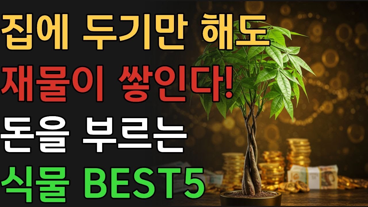 '돈 부르는 식물' TOP 5! 좋은 기운을 부르는 식물, 선물로 좋은 식물