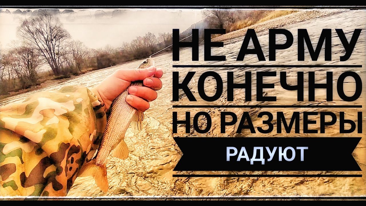 Осенний Хариус спускается в ямки👍🏻Шикарный клёв 💪😎#приморье#fishing#рыбалка#хариус#горнаярека 