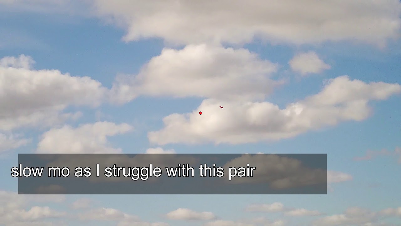 Sporting, Skeet, DTL shooting