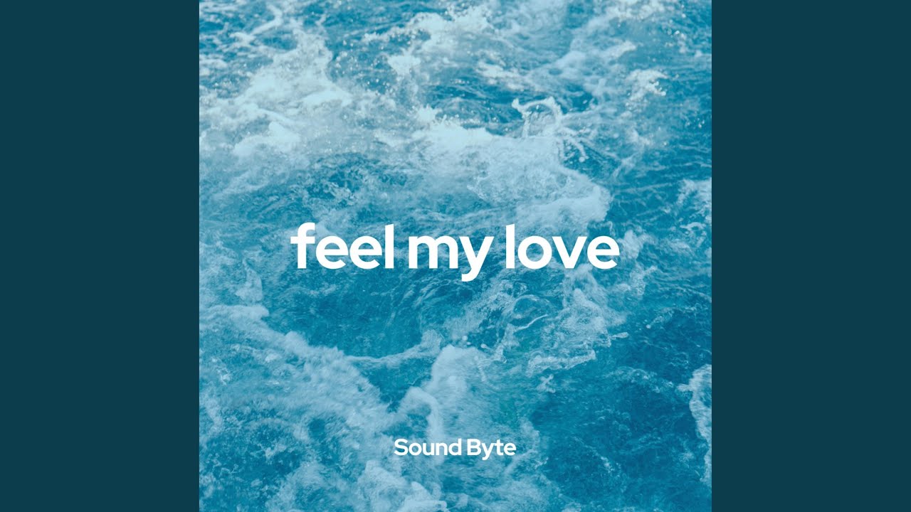 Feel My Love