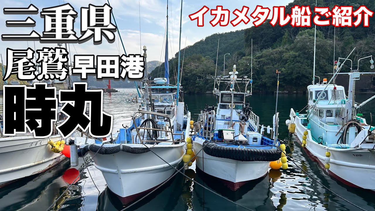 [イカメタル船紹介]今がチャンス！ヤリイカ、ケンサキ、スルメが狙える烏賊の楽園！三重県尾鷲・早田港　時丸