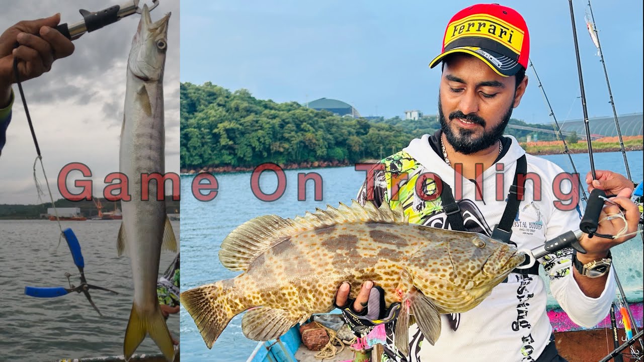 Fishing On Trolling | Giant Grouper | Barracuda