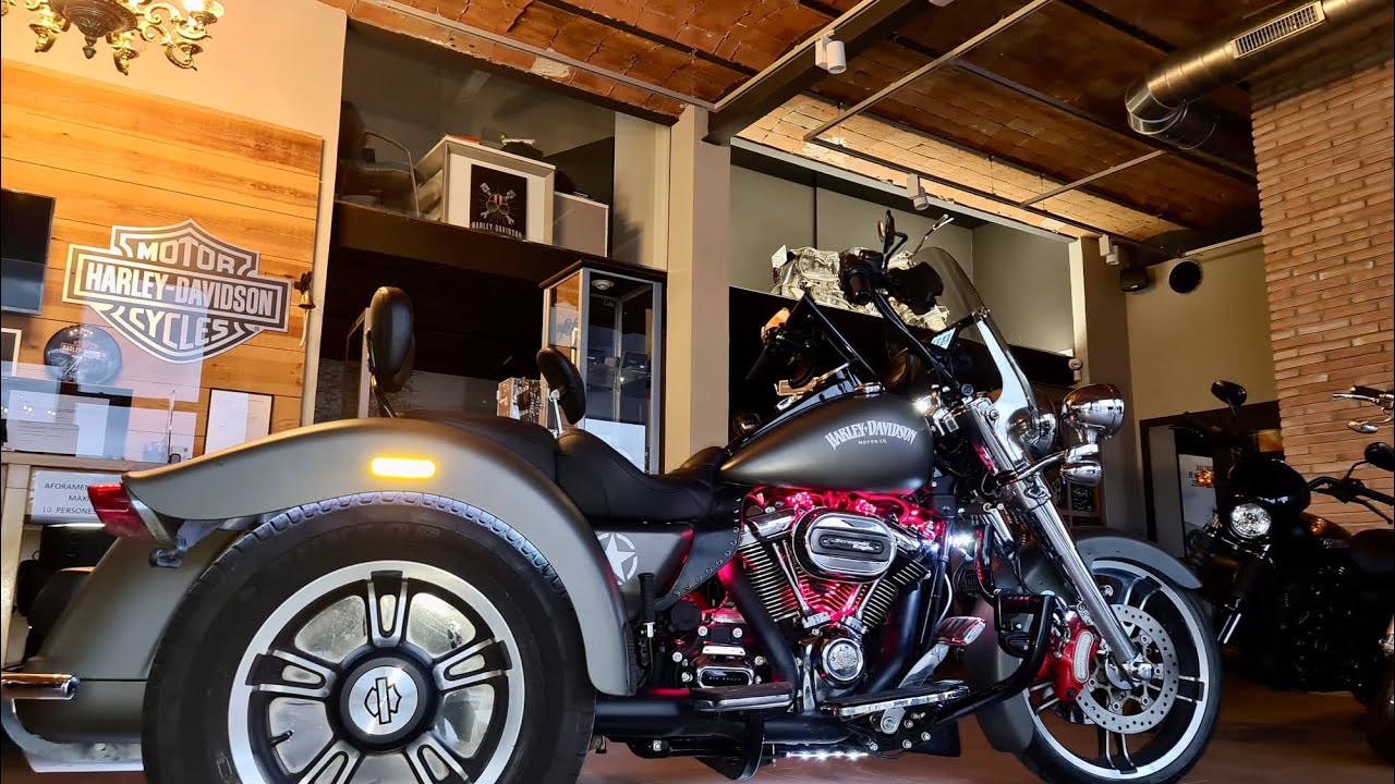 Customized Freewheelers II