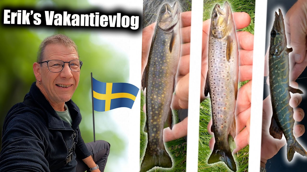 HEEL VEEL VISSEN VANGEN IN ZWEDEN 🇸🇪 - ERIK'S VAKANTIEVLOG