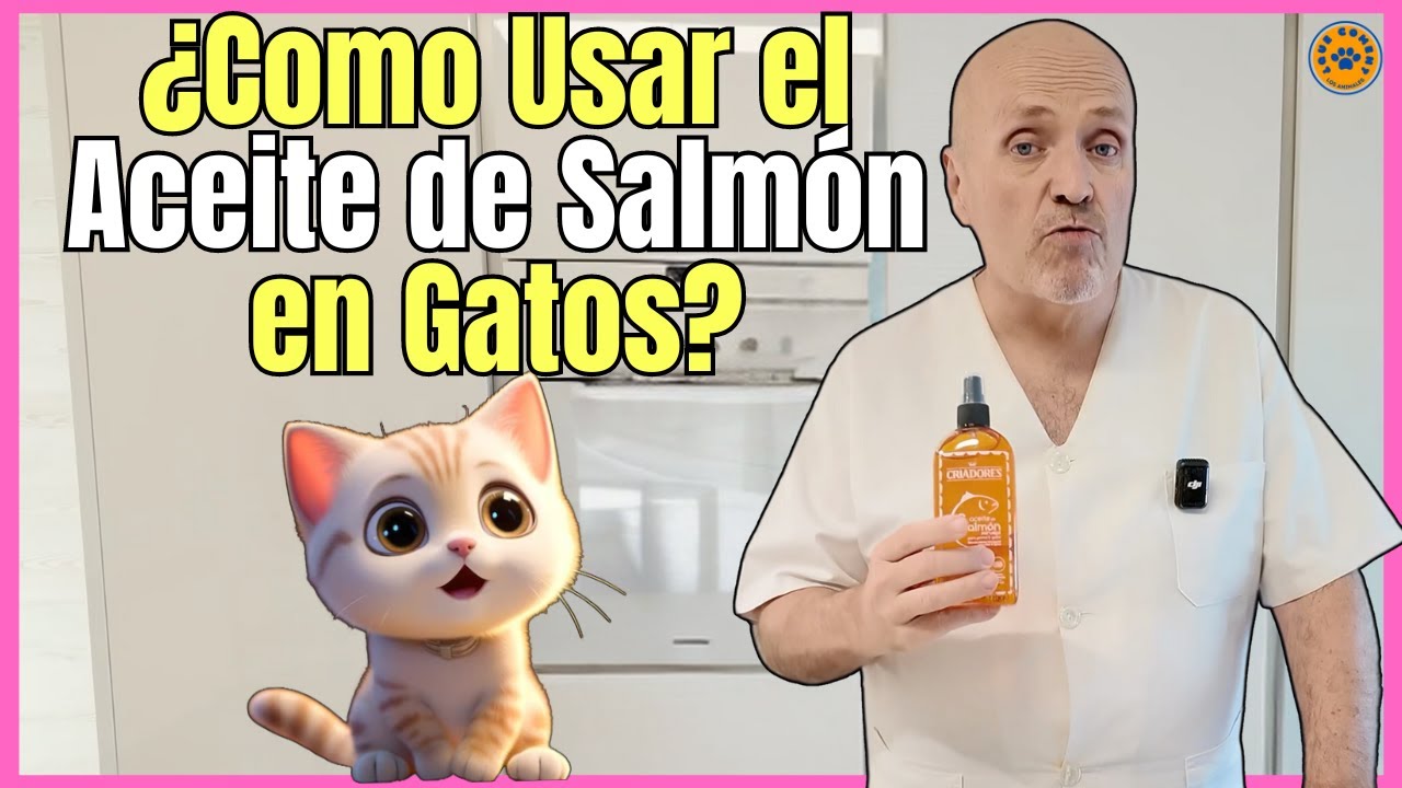 🔴 &iquest;PARA QU&Eacute; SIRVE EL ACEITE DE SALM&Oacute;N CON OMEGA 3 PARA GATOS? &iquest;COMO SE DA? 🔴