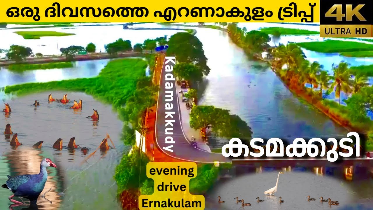 kadamakkudy | Island Drone View | tourist places in ernakulam | kadamakkudy birds | April 2023