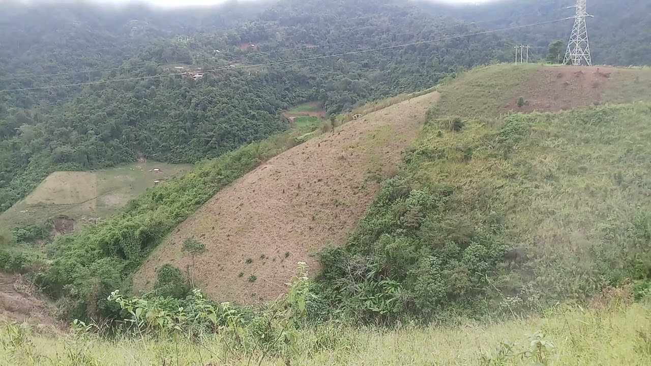 txiv xaiv foom kom cuab tsav