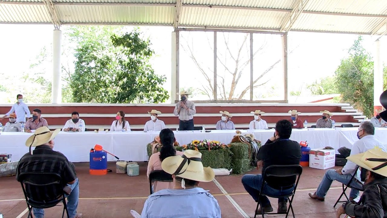 Sector ganadero de Carácuaro se mantiene de pie: Silvano