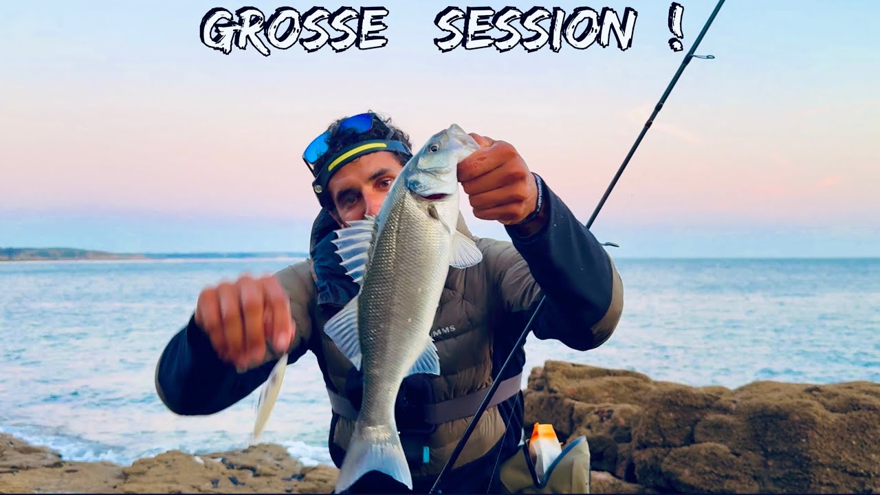 Pêche Du Bar Du Bord Été 2025 : Grosse Session ! 