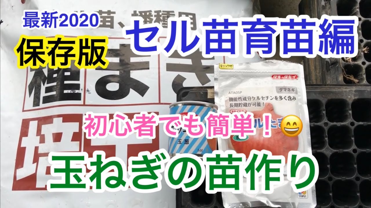 玉ねぎ種まきセル苗育苗編・最新　保存版　2020／8／31
