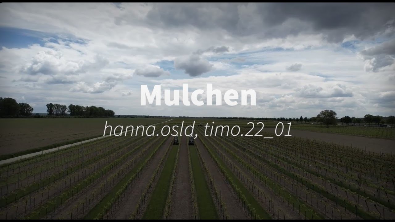 MULCHEN 2021 | Fendt 208v || agrarpics rlp