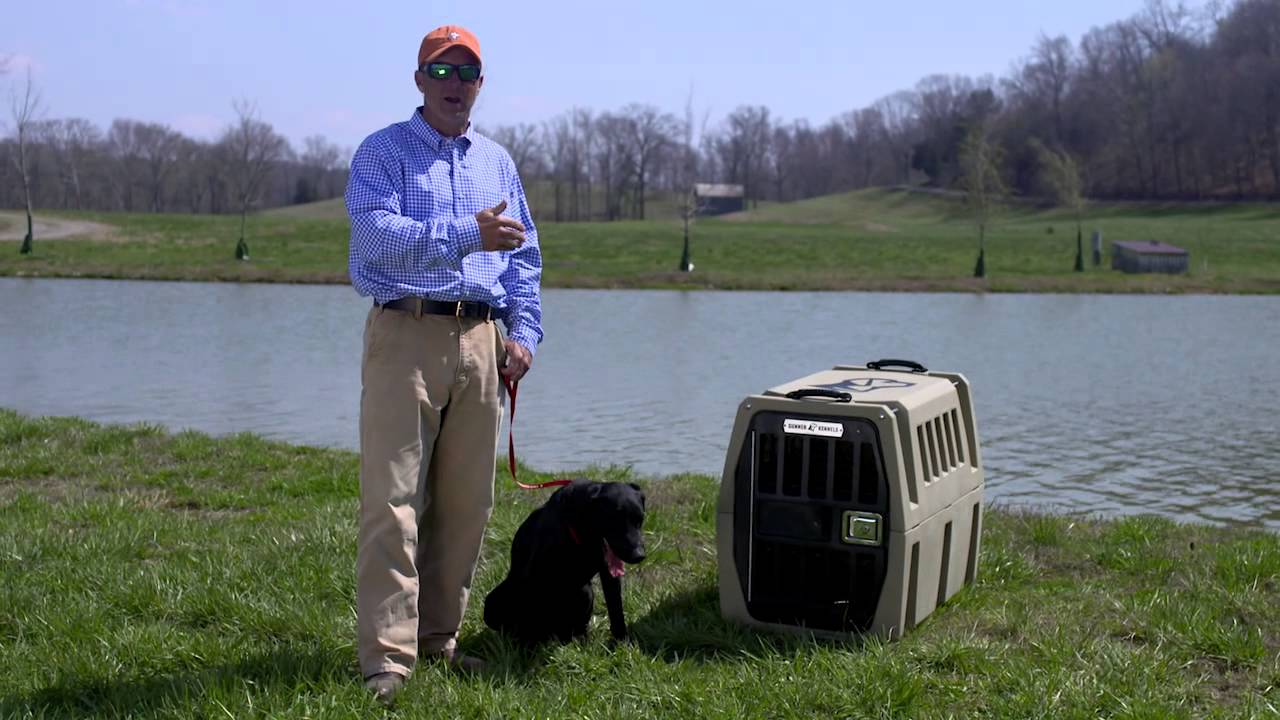 Why You Should Crate Train a Dog | Chris Akin | Ask Gunner