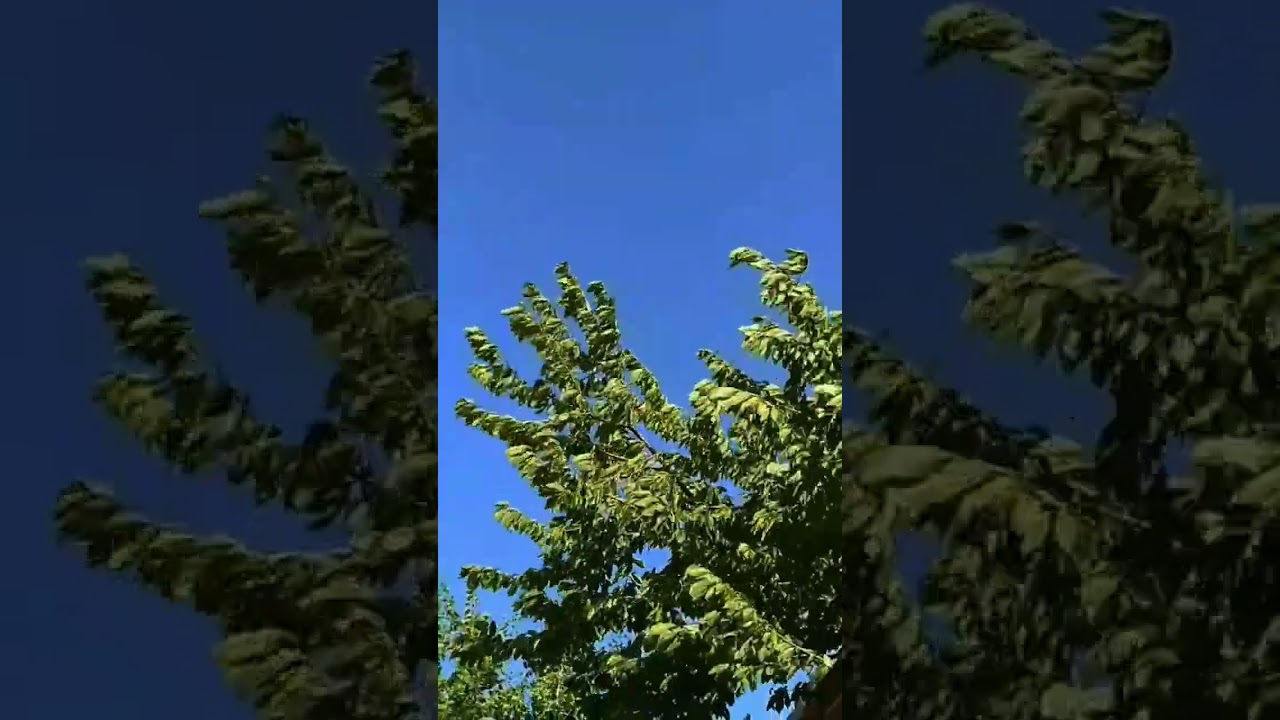 спокойствие...