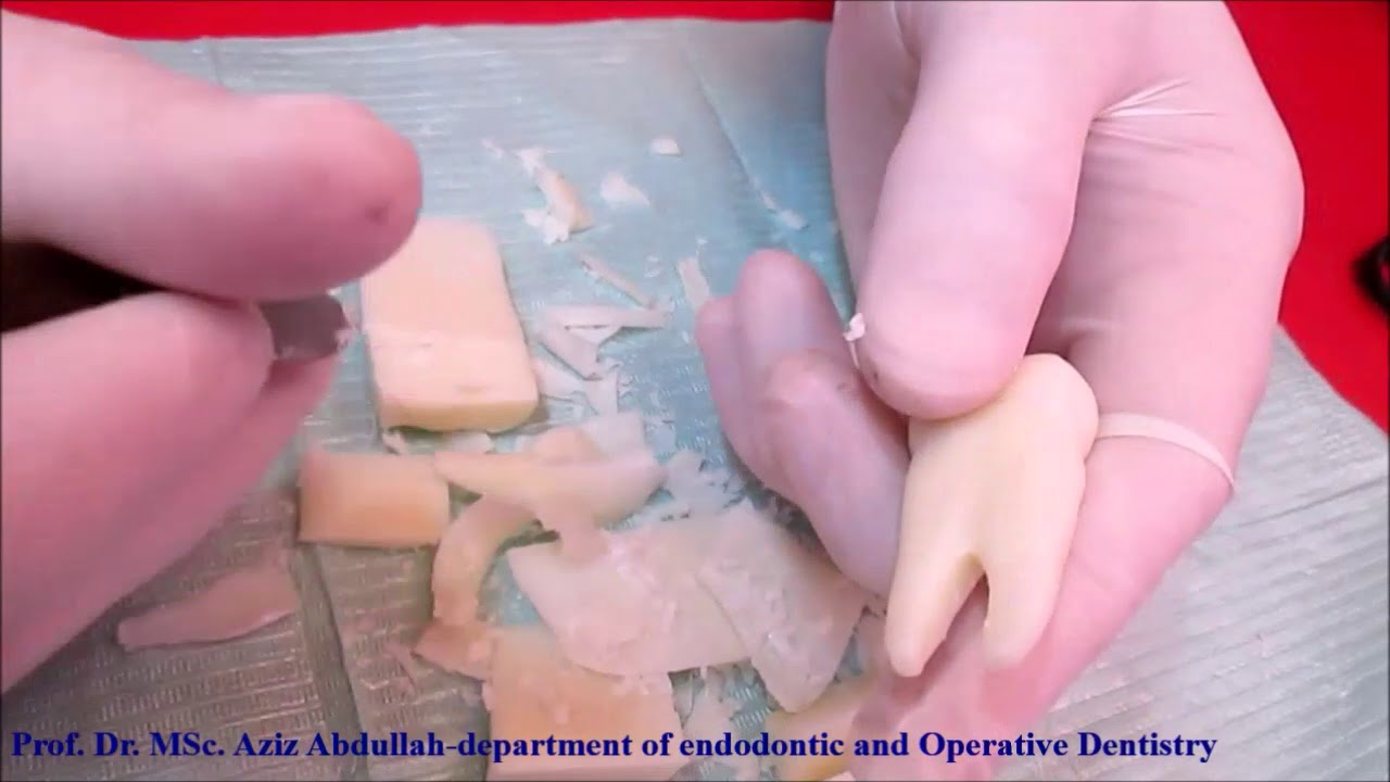 maxillary first premolar-soap carving