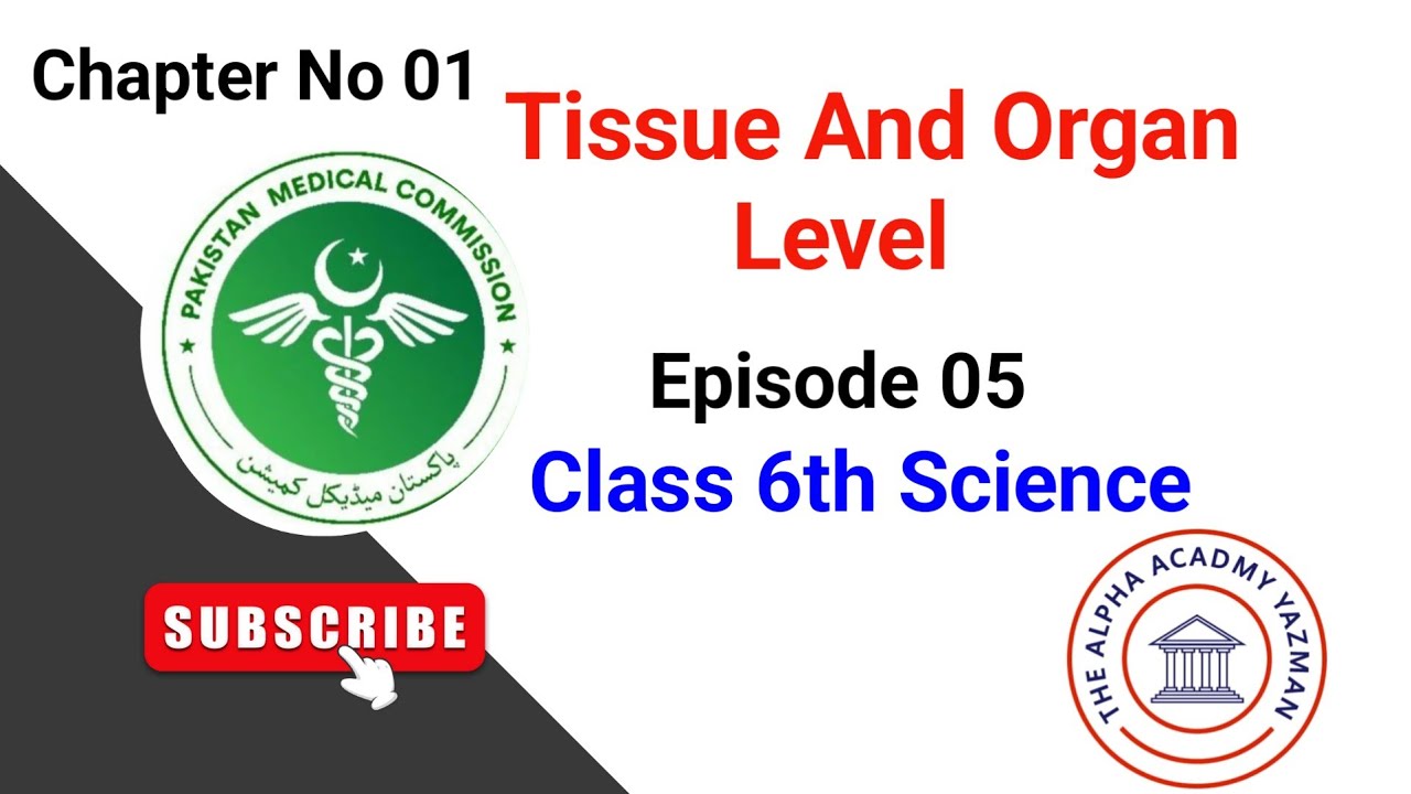Cell Tissue And Organ Class 6 General Science Sindh Board | Sindh Board | Season 01 | Episode 05