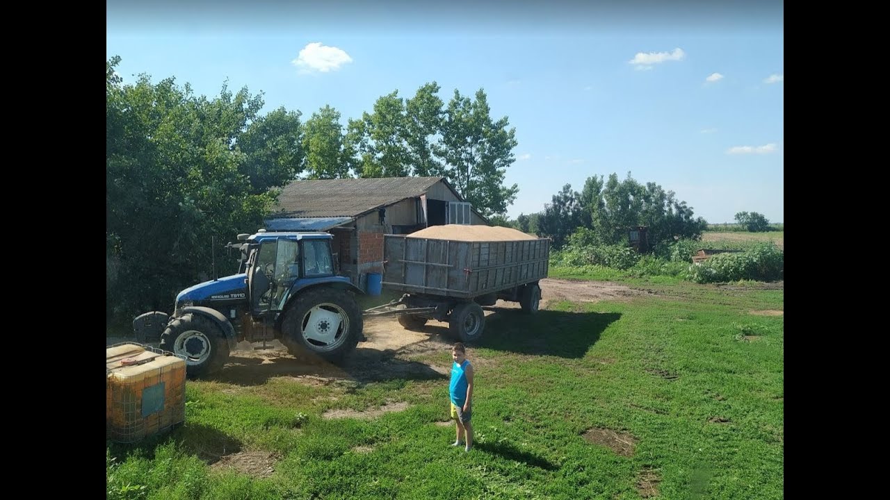 Traktoros Vlog #1-Búza Szállítás (New Holland TS110)