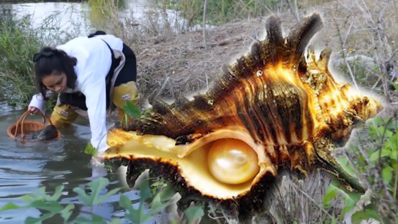 Octagonal giant clam pearls are extremely large, and the girl is collecting freshwater pearls