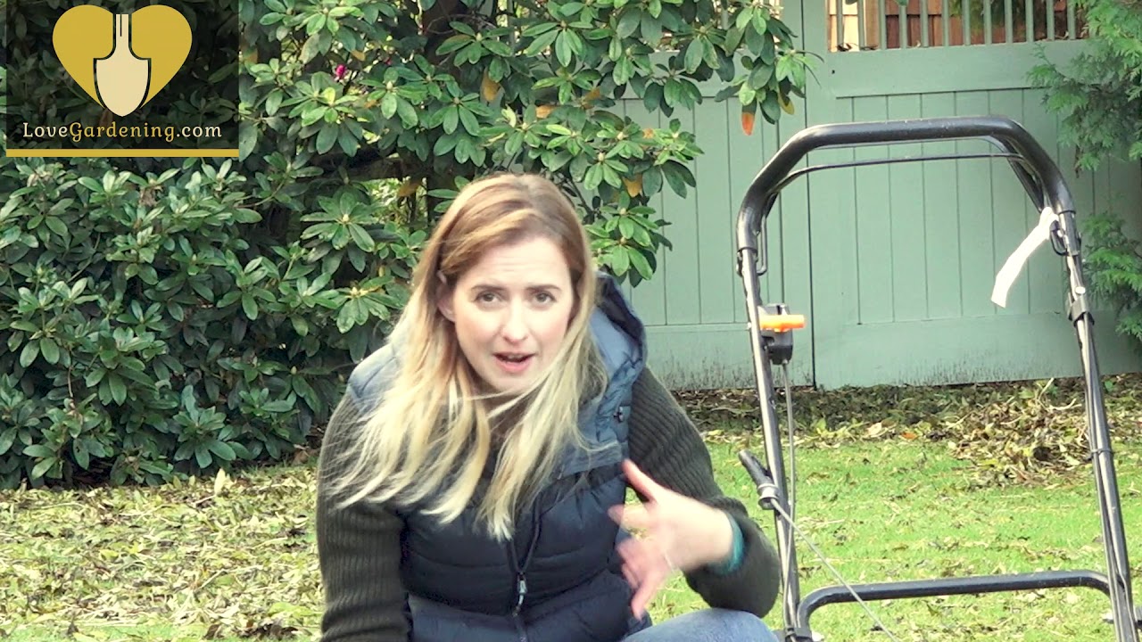 How to Make Leaf Mould with Katie Rushworth