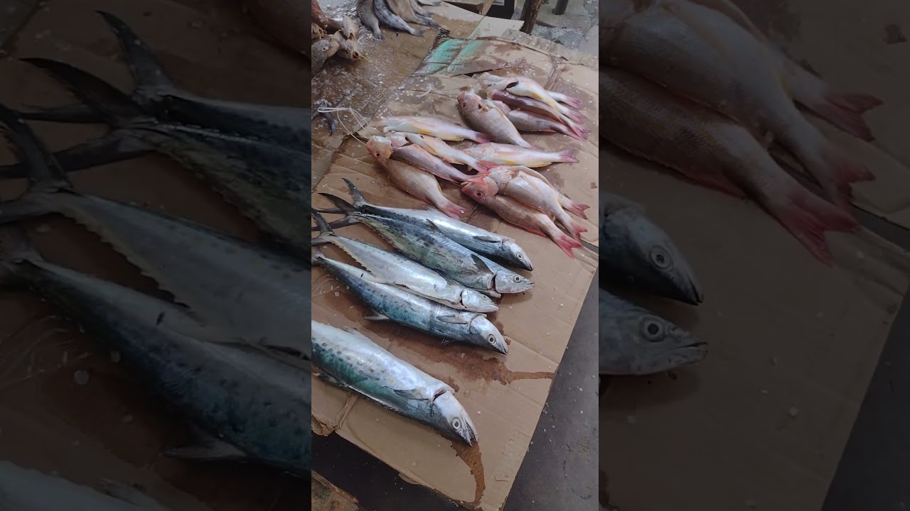 Tips para identificar, comprar y reconocer cuando el pescado est&aacute; fresco.