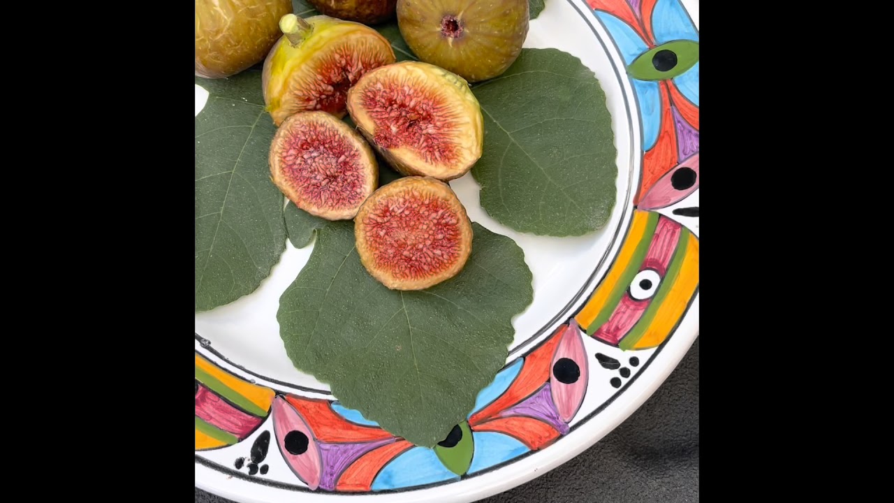 A Fig Review