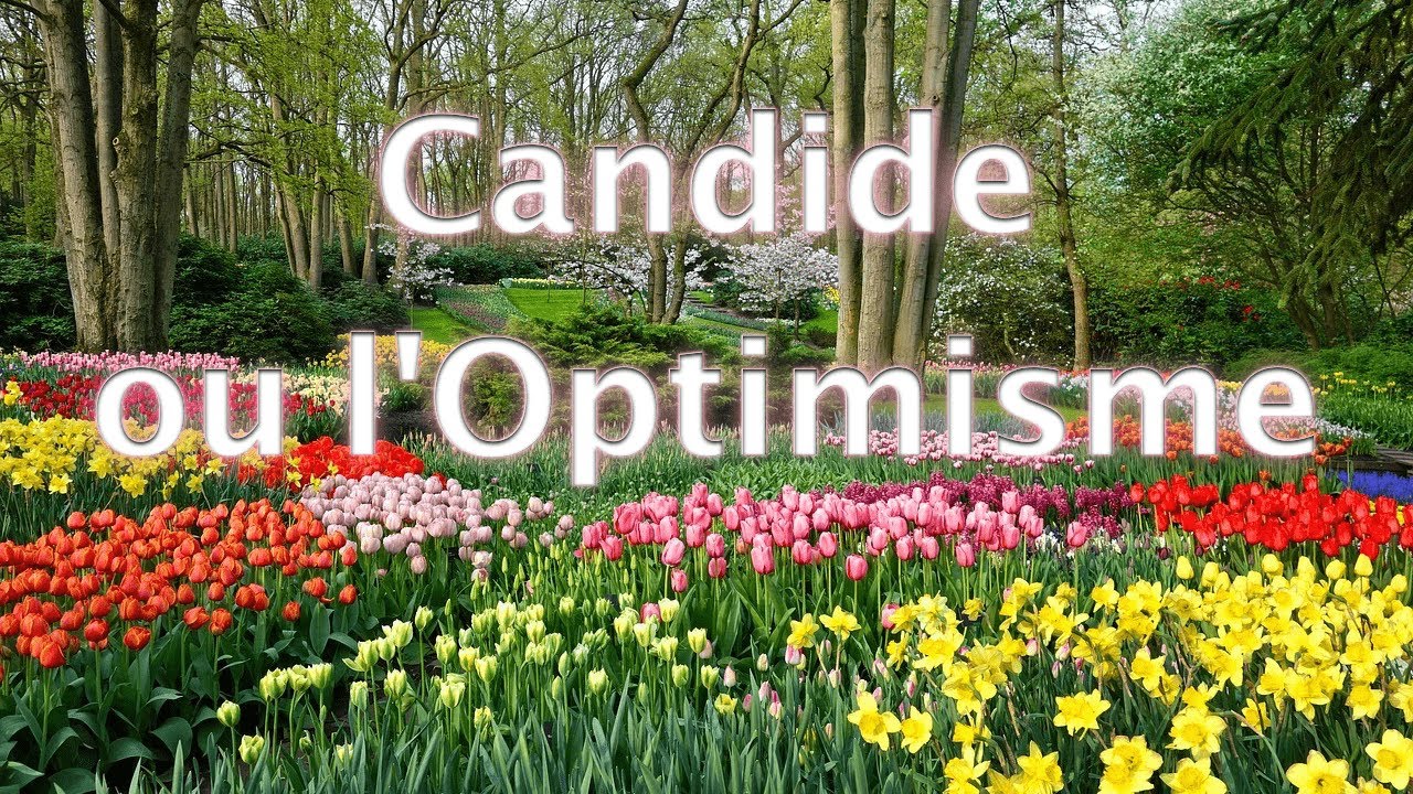 Candide, Chapitre 13