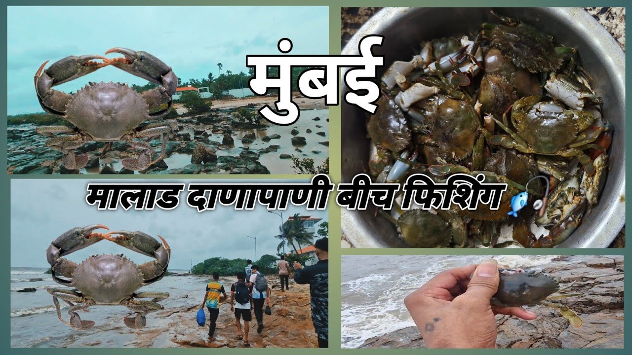 मुंबई मालाड दाणापाणी बीच फिशिंग....🎣 Mumbai malad danapani beach fishing 🎣