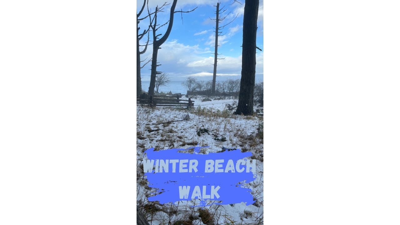 Winter beach walk