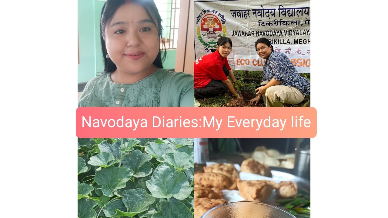 Jnv west garo hills#Navodya diaries#A beautiful day in my life#Teacher life at Navodaya🌺🌺