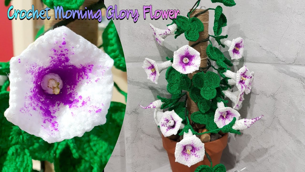 How to Crochet  Morning Glory flower