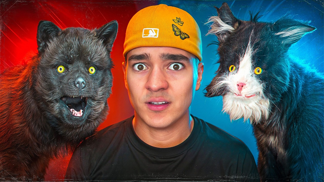 Mi Gato Tom VS Mi Perro Max ¿ Quien Es Mas FUERTE ?