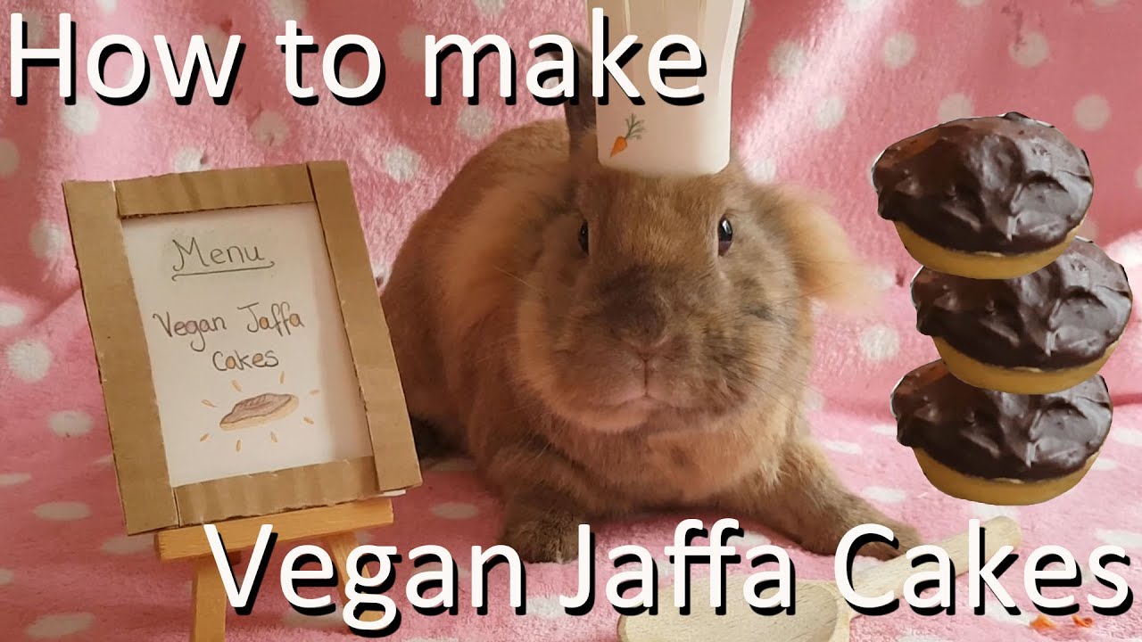 Vegan Jaffa Cakes