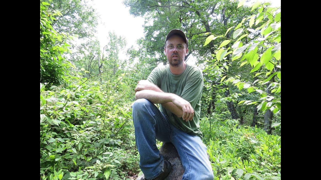 Pennsylvania High points (Ep 1) Lebanon county, Stony Mt. (1,651 feet)