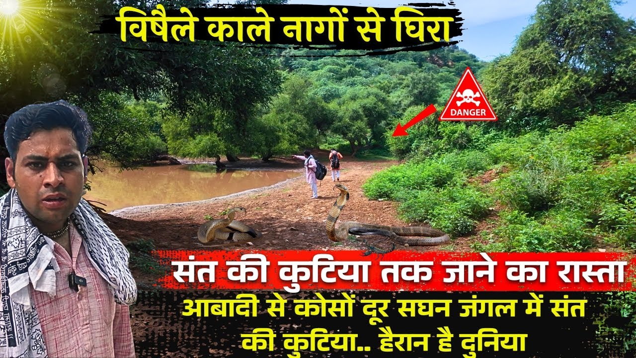 काले नागों से हर समय लबालब भरा रहता है संत की कुटिया तक जाने का रास्ता. #santdarshan #gurupurnima