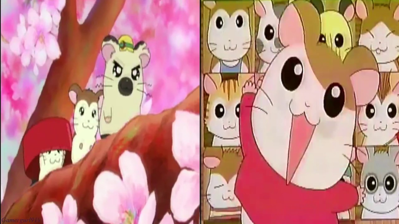 ✧*:.&bull;♡Hamtaro 1999 Japanese Opening Song - Tottoko Hamutaro♡&bull;.:*